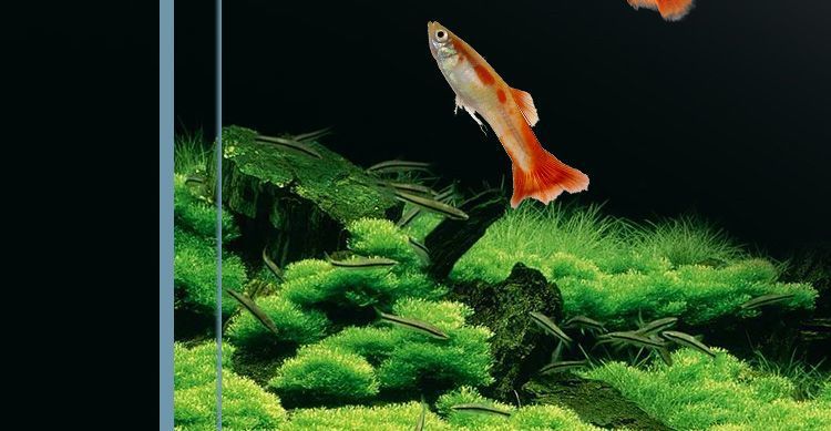 cf4389d6-57bd-4322-a9fc-287e5aa92f93.jpe