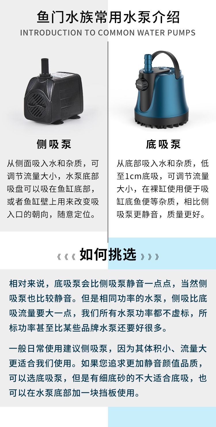 a3819277-ad3c-4a6e-a230-0fa37b17e22d.jpe