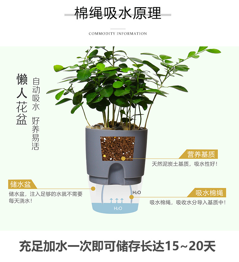 AS高透明系列_05