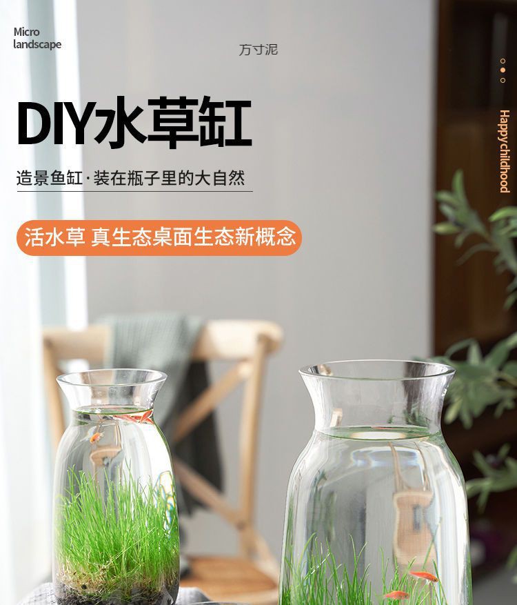 e9e6e94d-86b1-4f75-92fe-0d79a8c115de.jpe