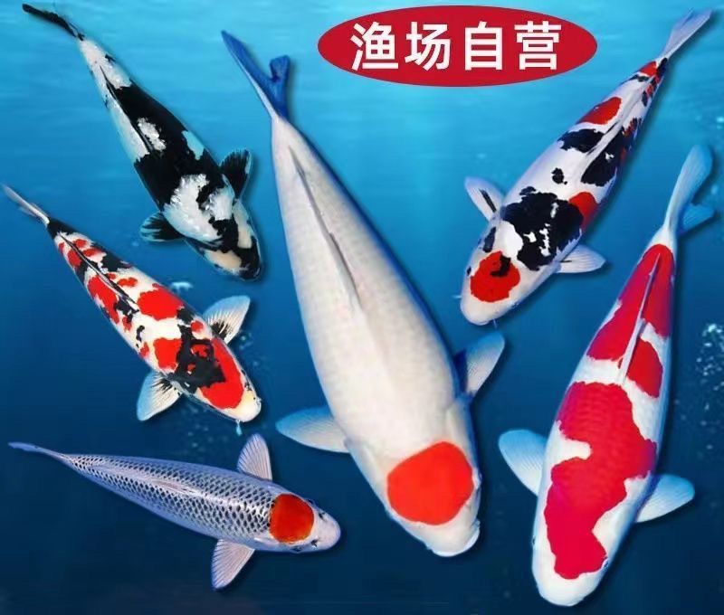 d2dc3884-bc76-4f95-8cf1-f25a68968db7.jpe