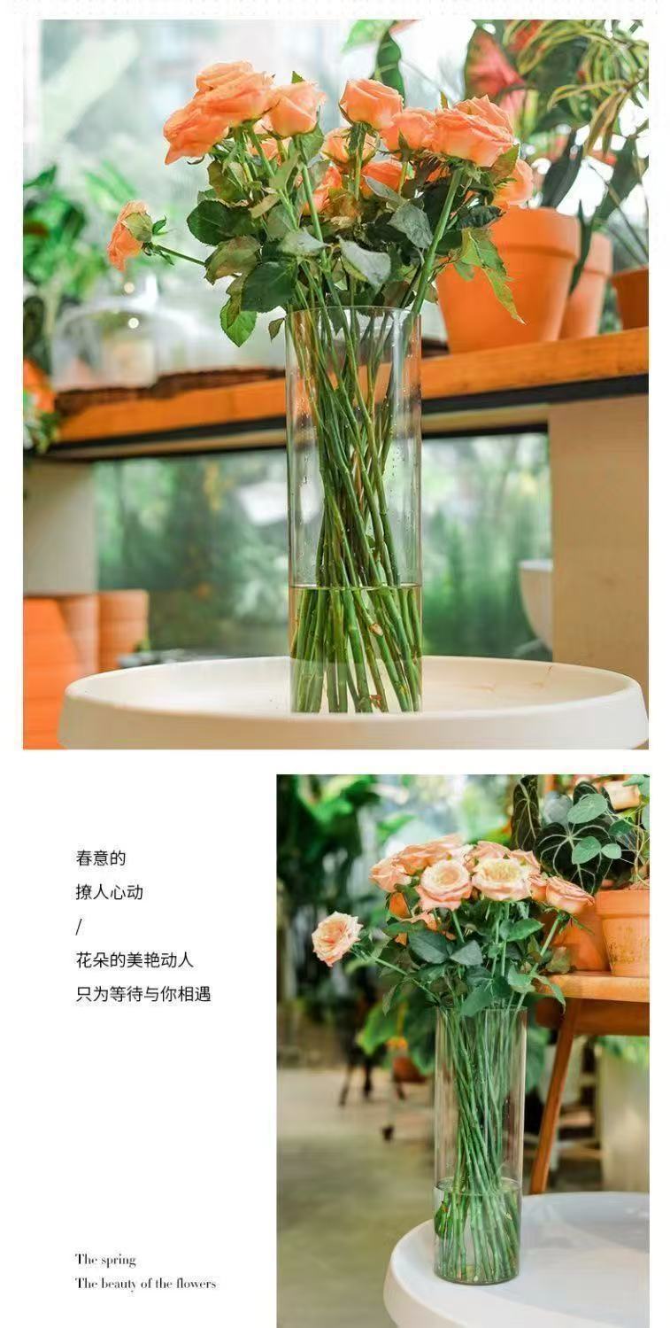 d4cb7742-7547-4fb7-a40b-53fa807d2005.jpe