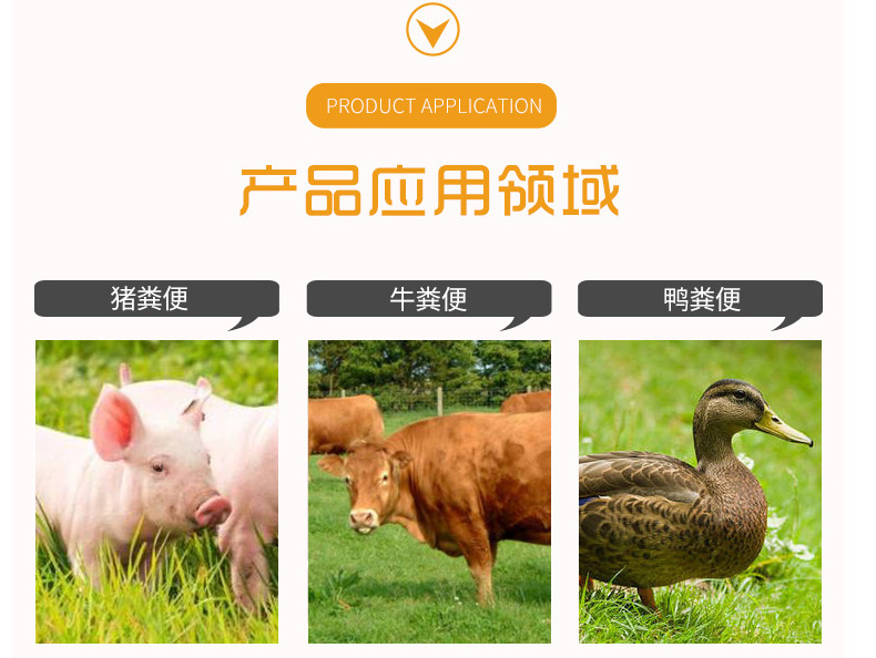 QQ图片20210405113331.png