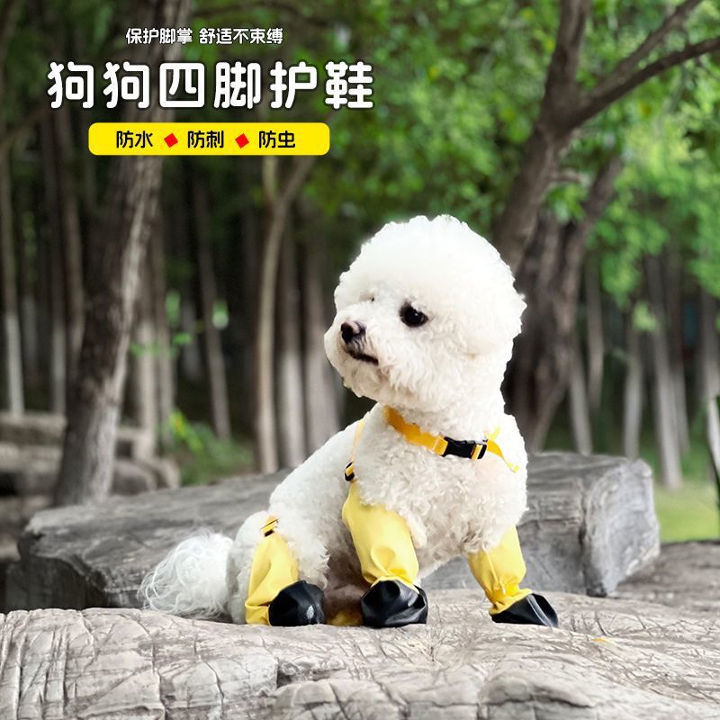 b3c3861e-15cc-4259-957e-12cc0eec688f.jpe