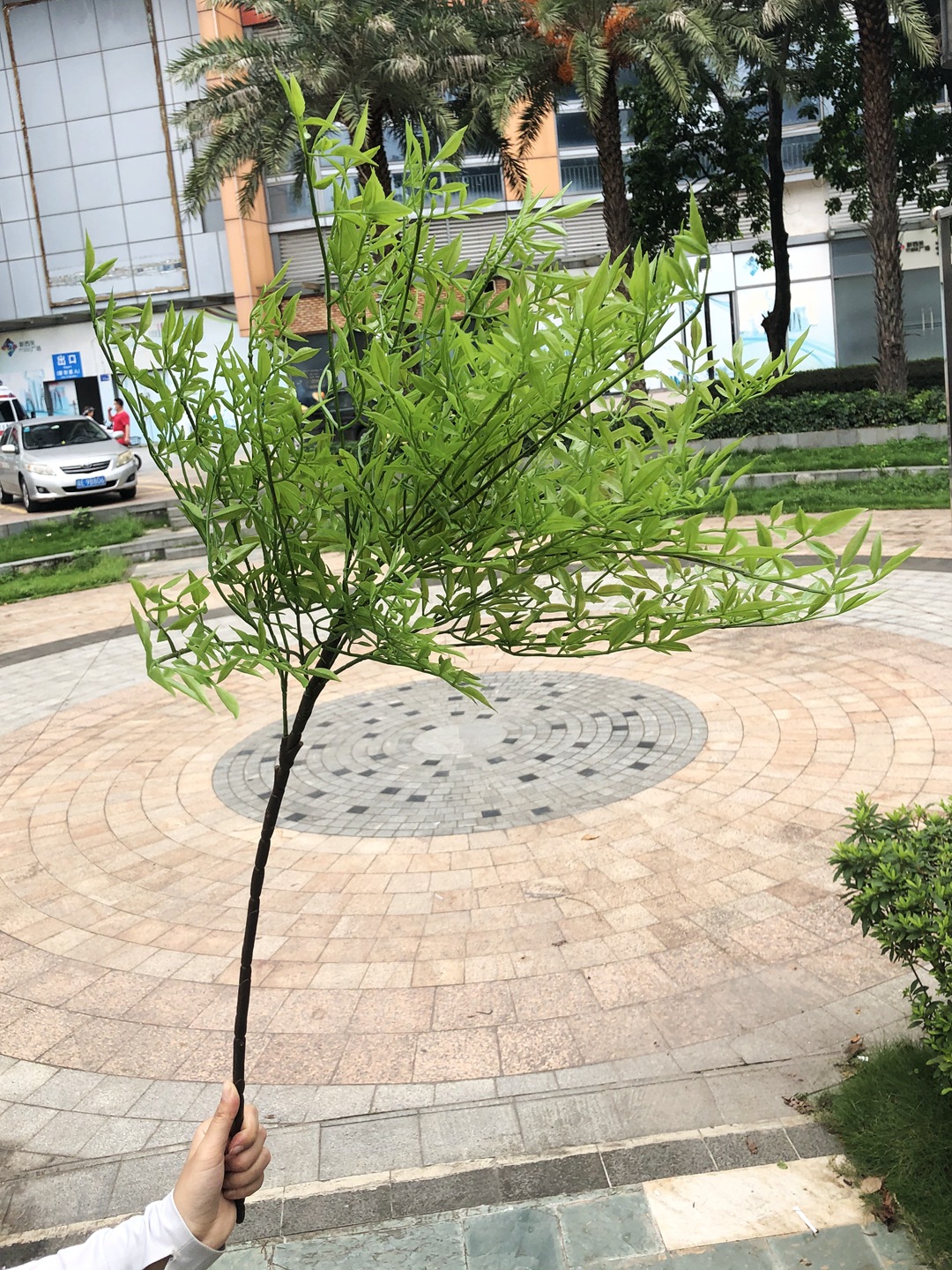 微信图片_20210806174404-1