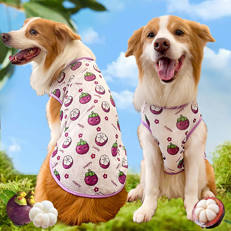 c429592e-cb4d-442a-9be5-c8dd7a23c5a5.jpe