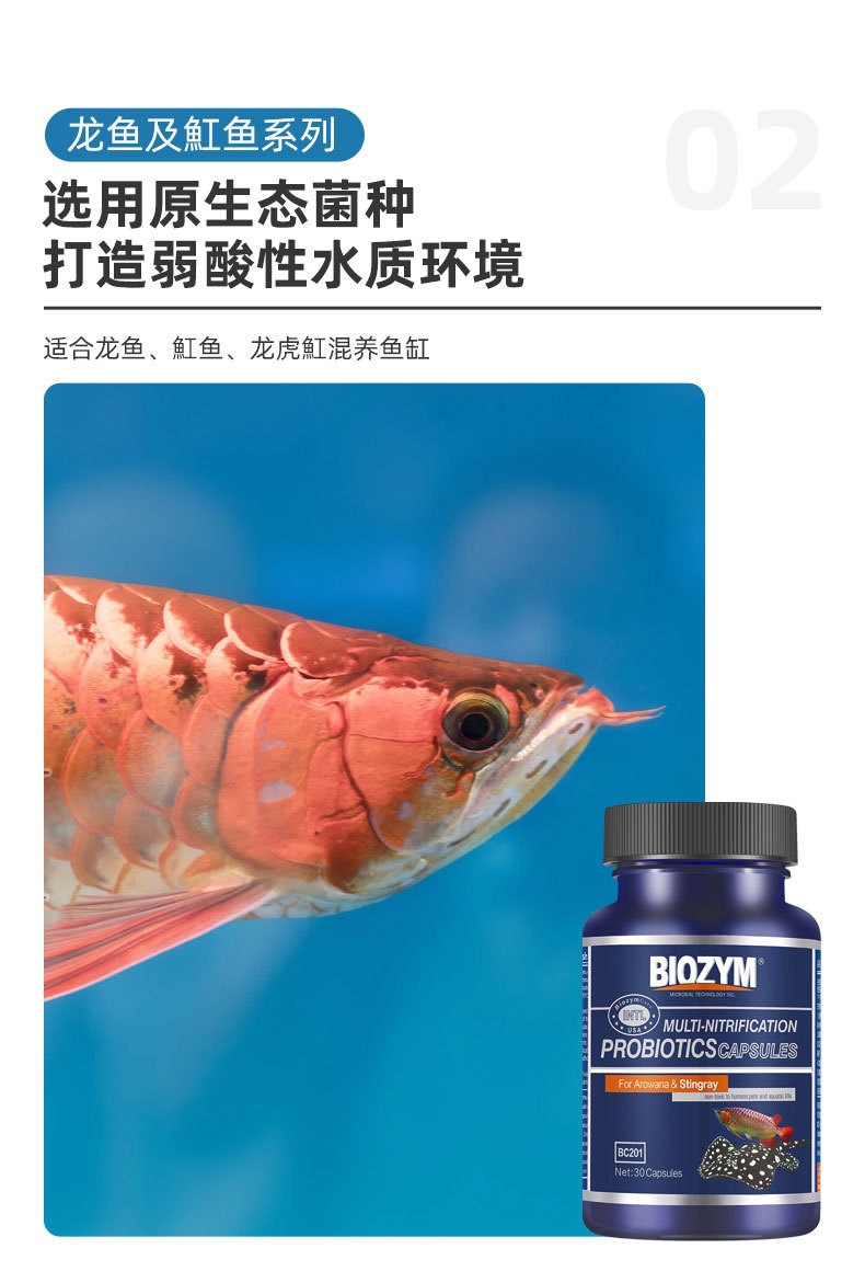 详情_12.jpg