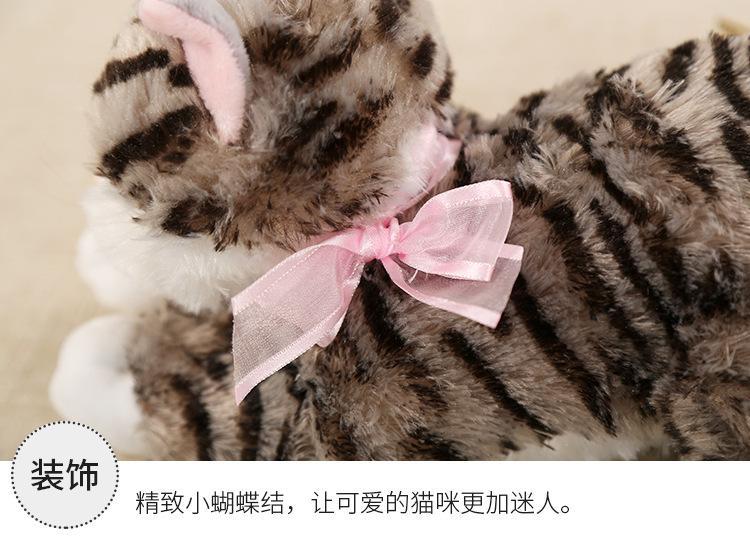 猫猫_10.jpg