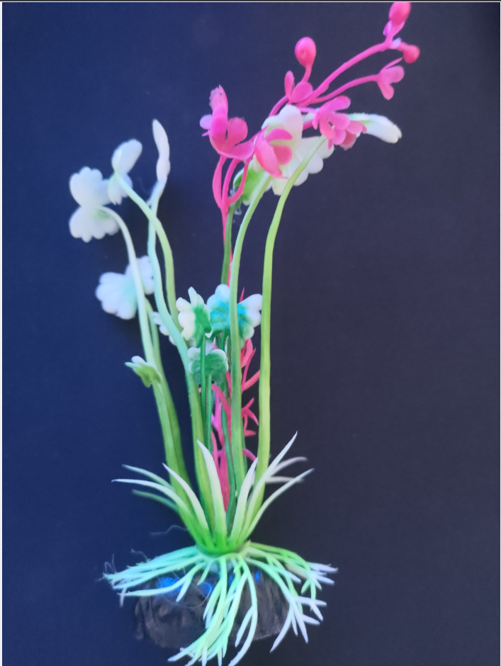 QQ图片20221020085342