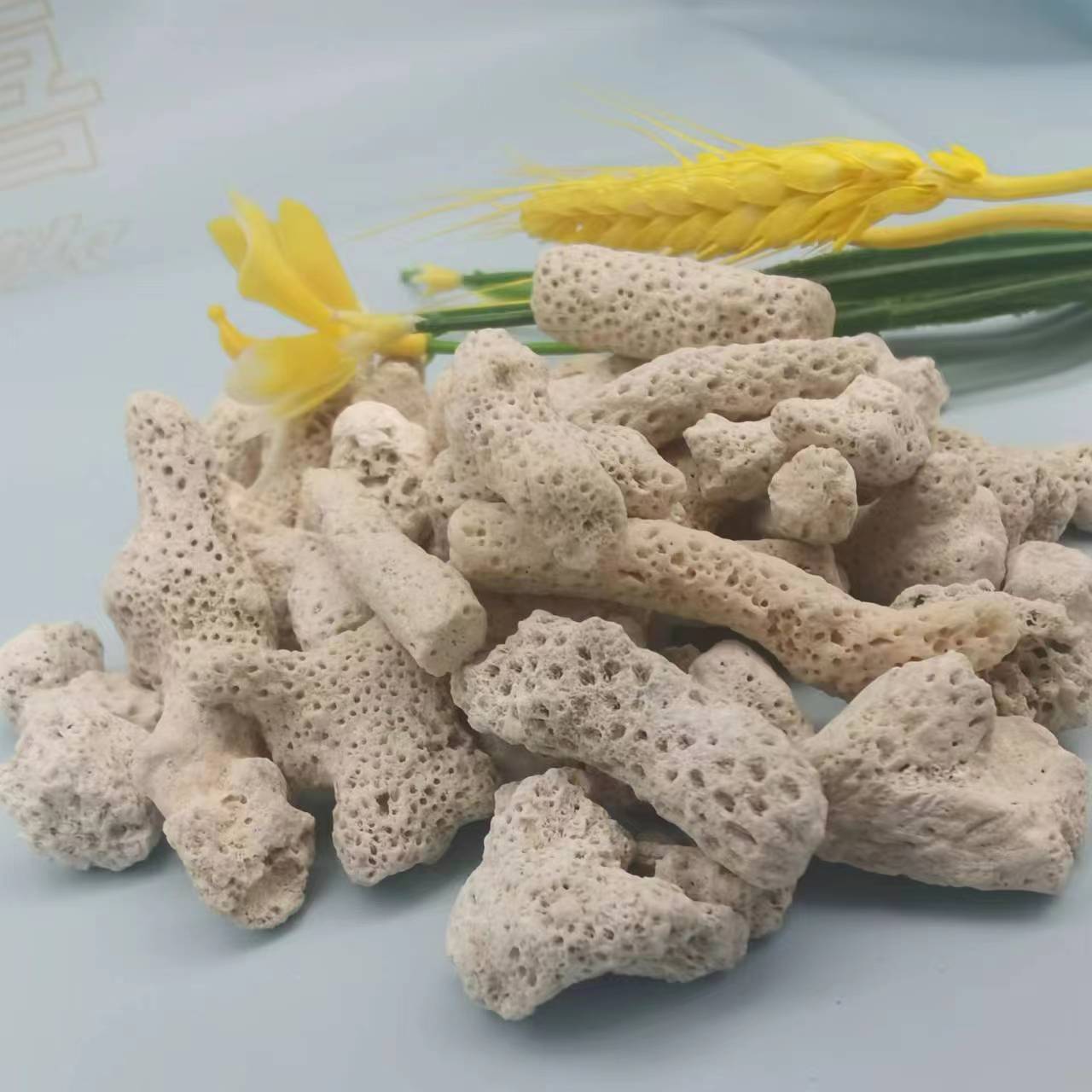 5c6e427b8716b709e6432cdb613a57