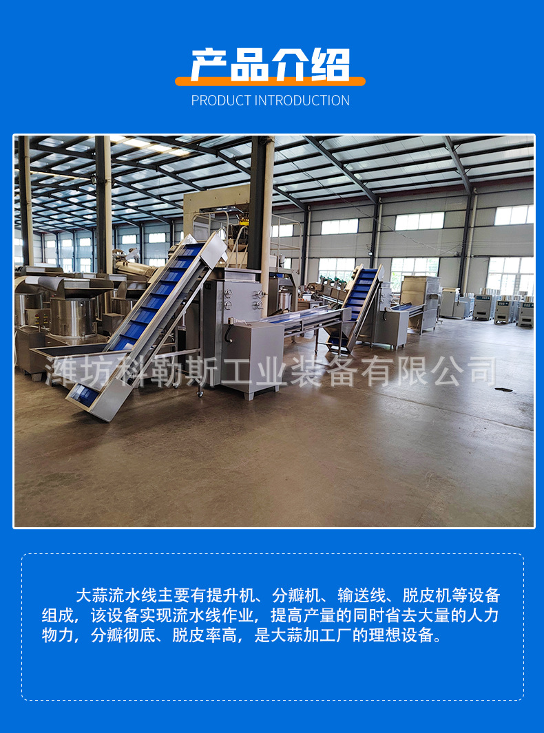 大蒜流水线_05.jpg