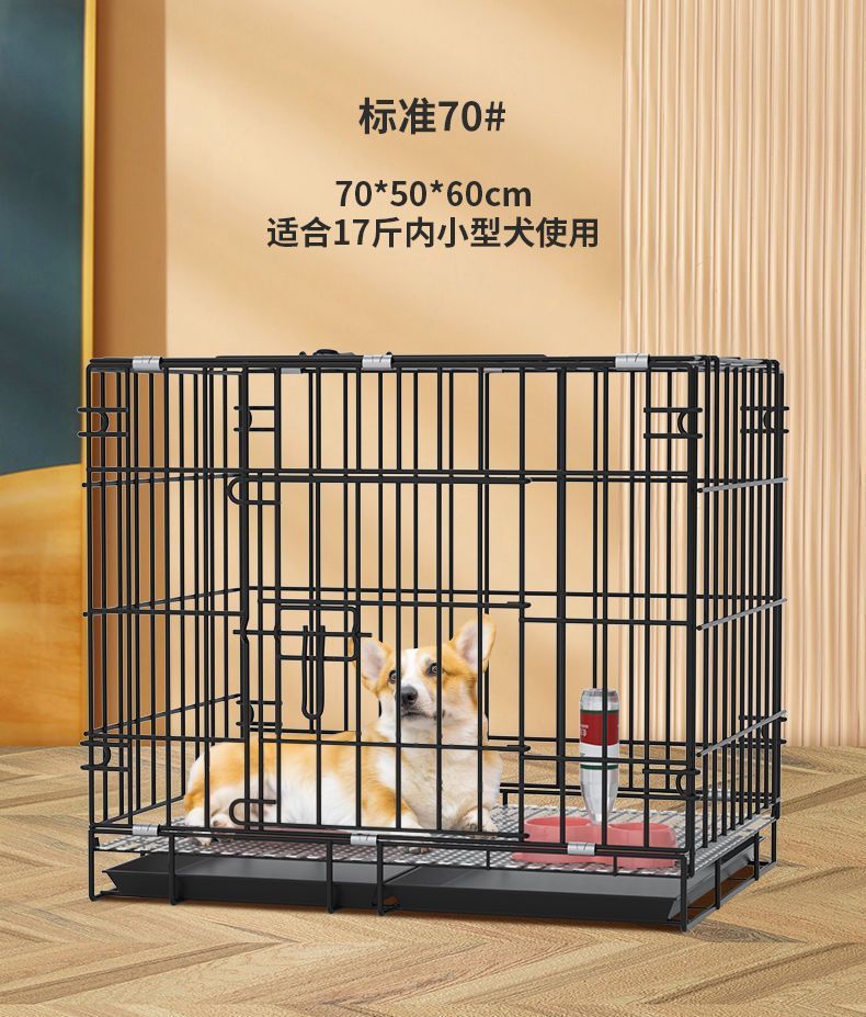 aa384cae-21c4-48b8-a548-dad4aa75a573.jpe