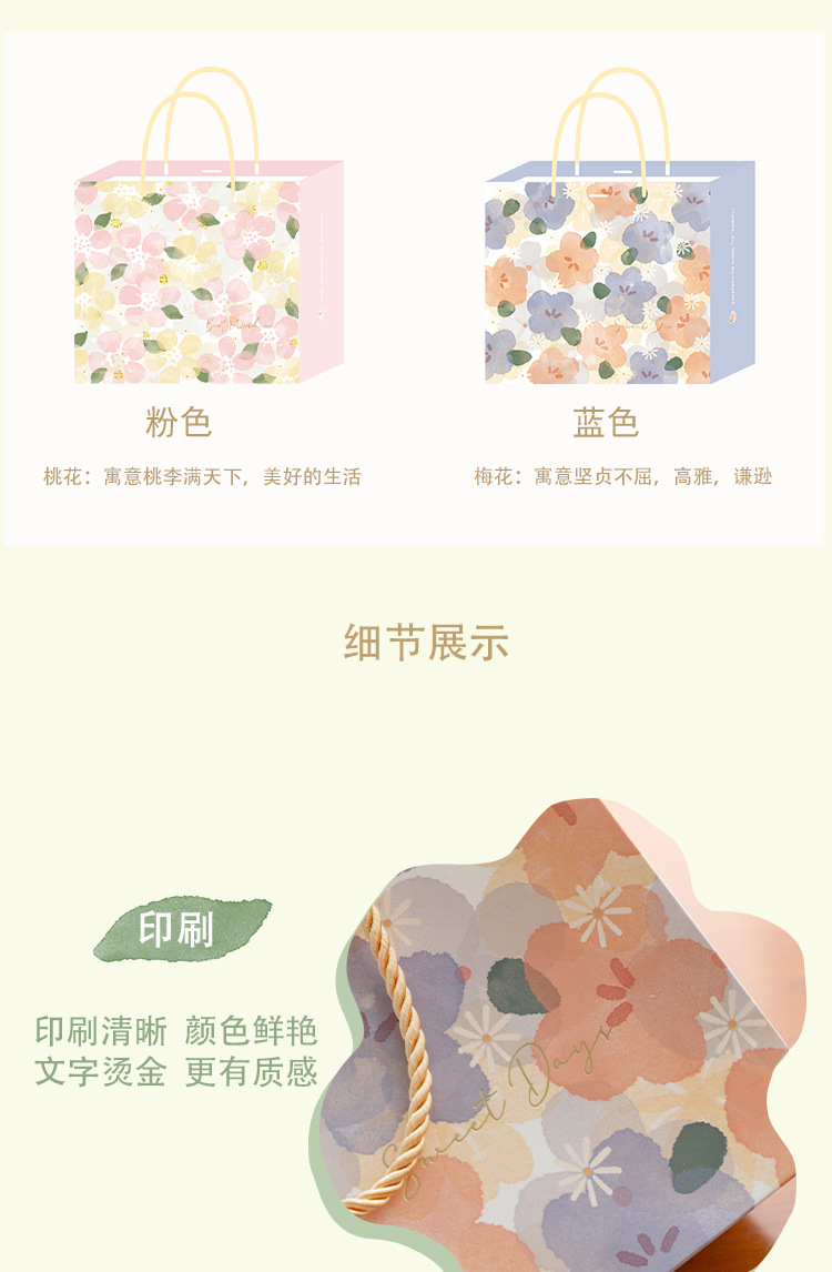 ZD5010绘梦礼品袋_04.jpg