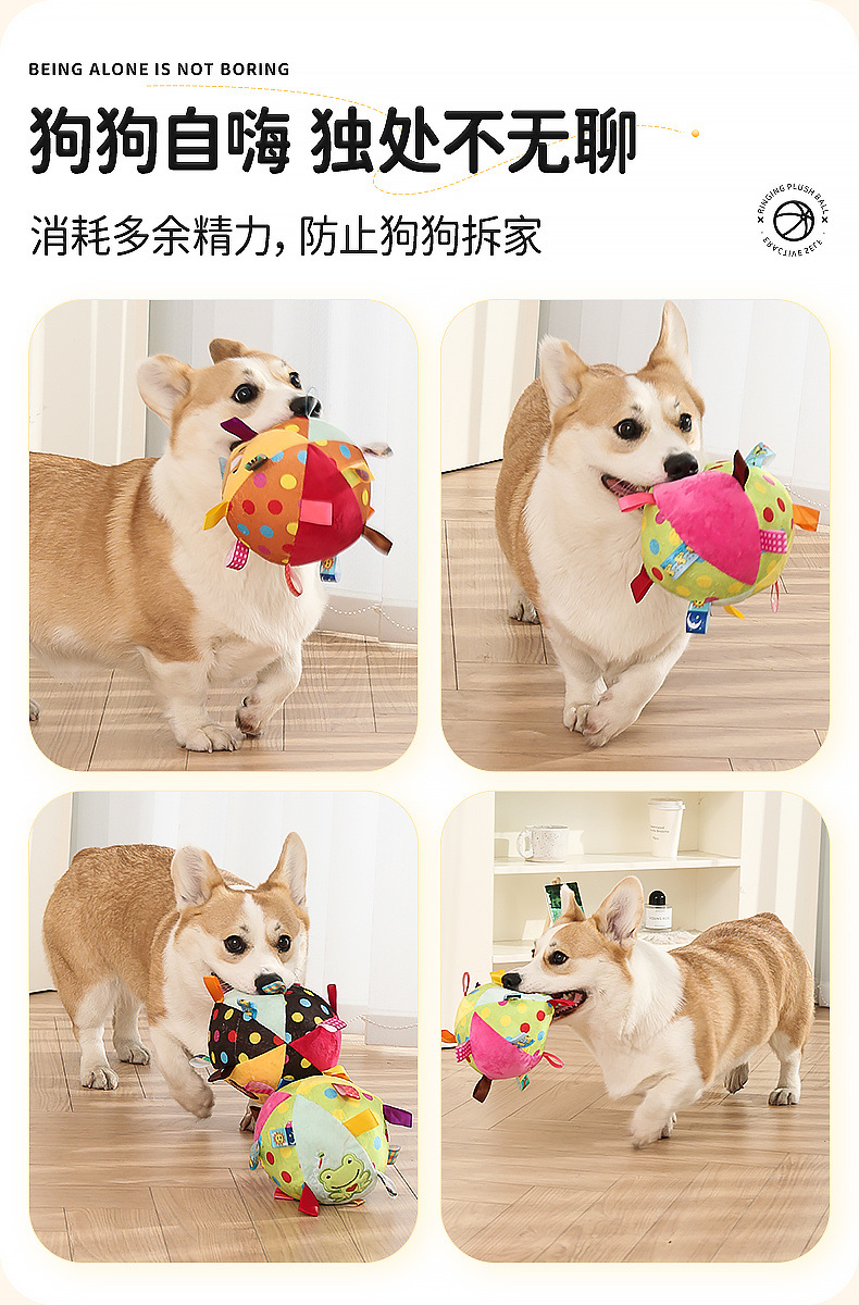 86ca56cc-6cf0-4c28-b0b6-85fe6af6c58b.jpe