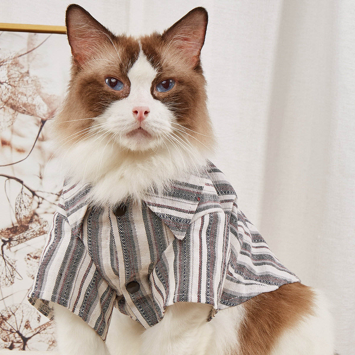 宠物衬衫 条纹猫猫衣服 狗狗衣服