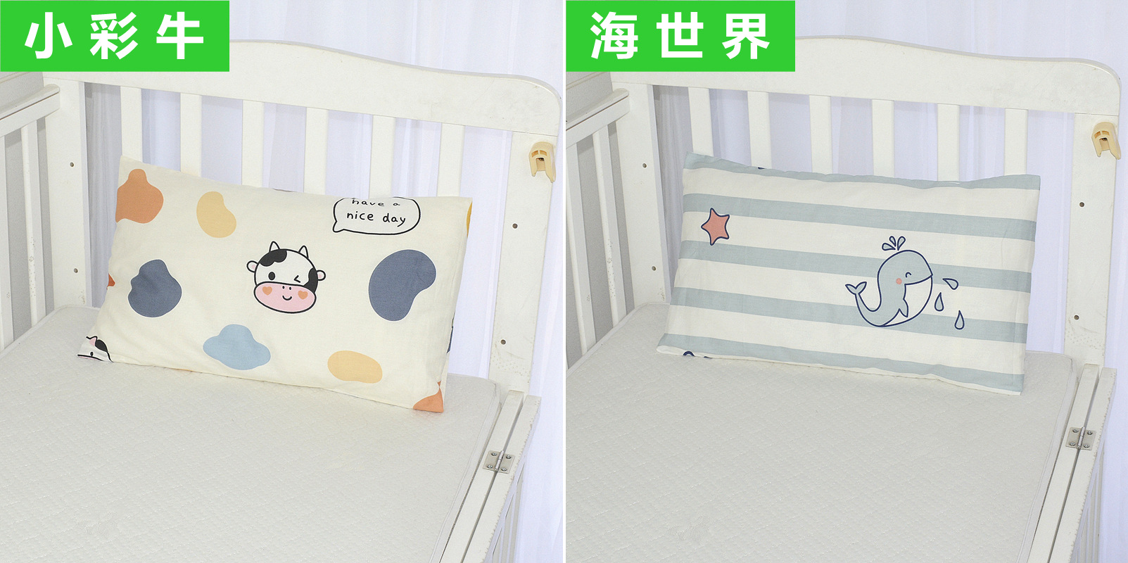 彩牛.JPG