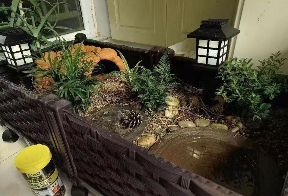 820a1c88-92e8-48c3-bc25-72daa3713485.jpe