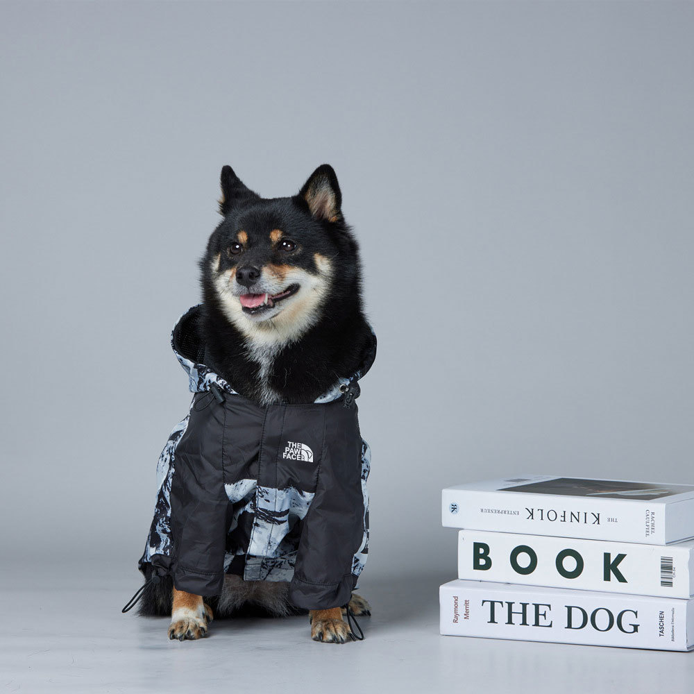 O1CN01KBX2tC288kwqZOt3Q_!!2214