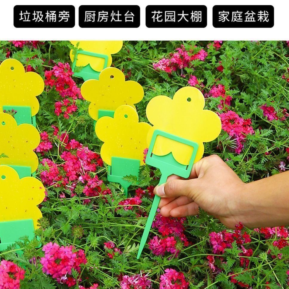 c3dd94a5-69f1-4290-9d1b-ab4babc738b6.jpe