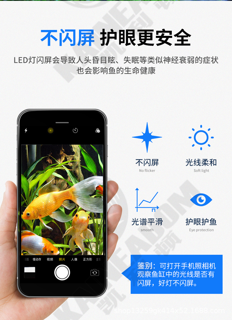 水草灯_09.jpg