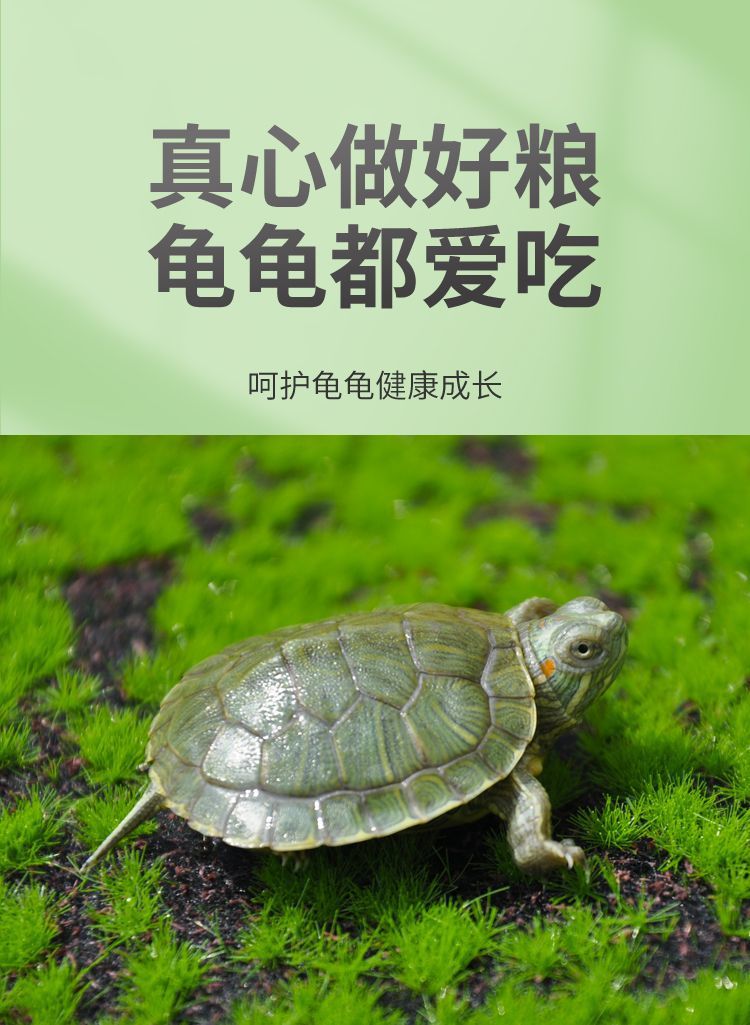 bcf20003-8128-4244-b662-af8825b2e885.jpe