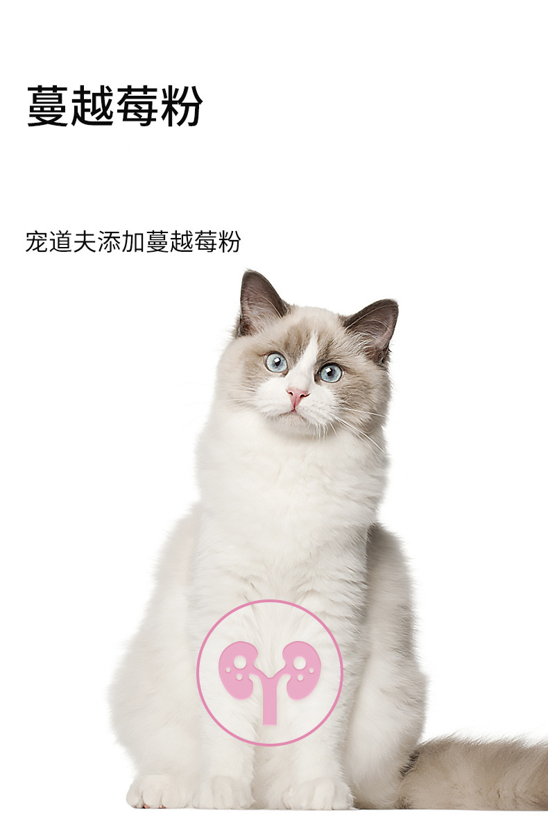 23356231642_859103132