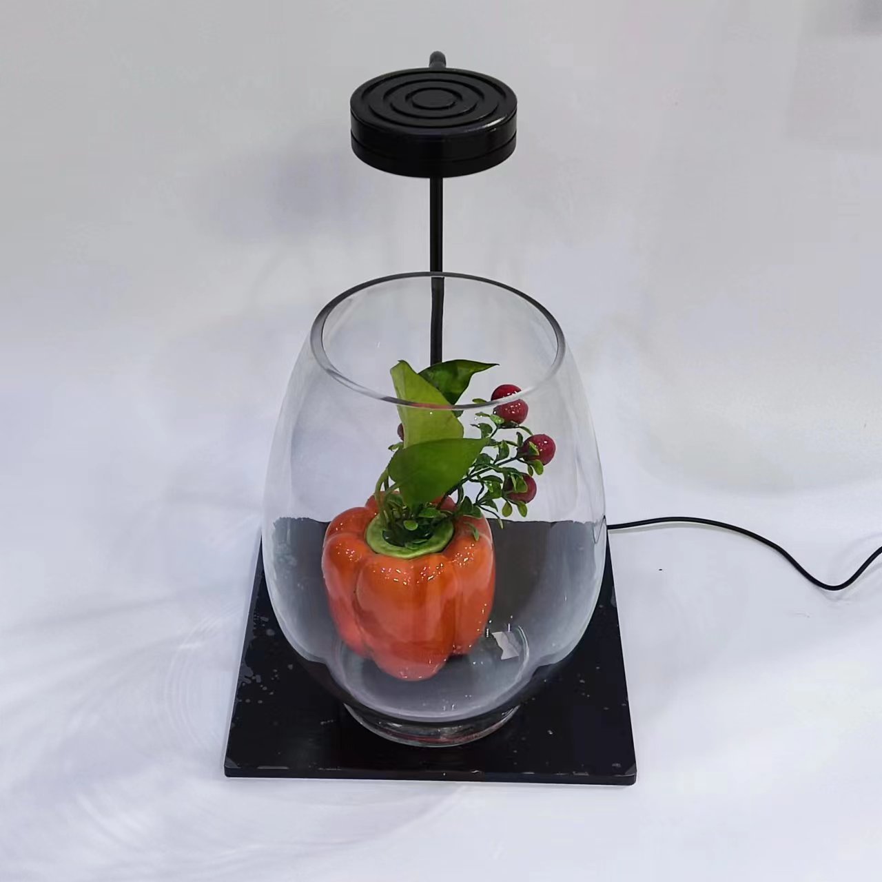 微信图片_20240127205403