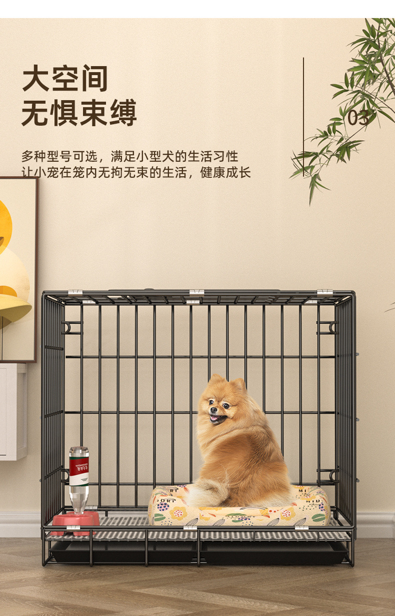 a7a0430c-e742-4c7a-b122-1616d3fa66e6.jpe