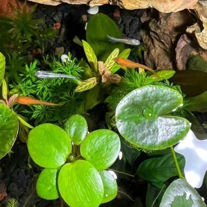 86899591-a35c-4646-9588-be50b66764e6.jpe