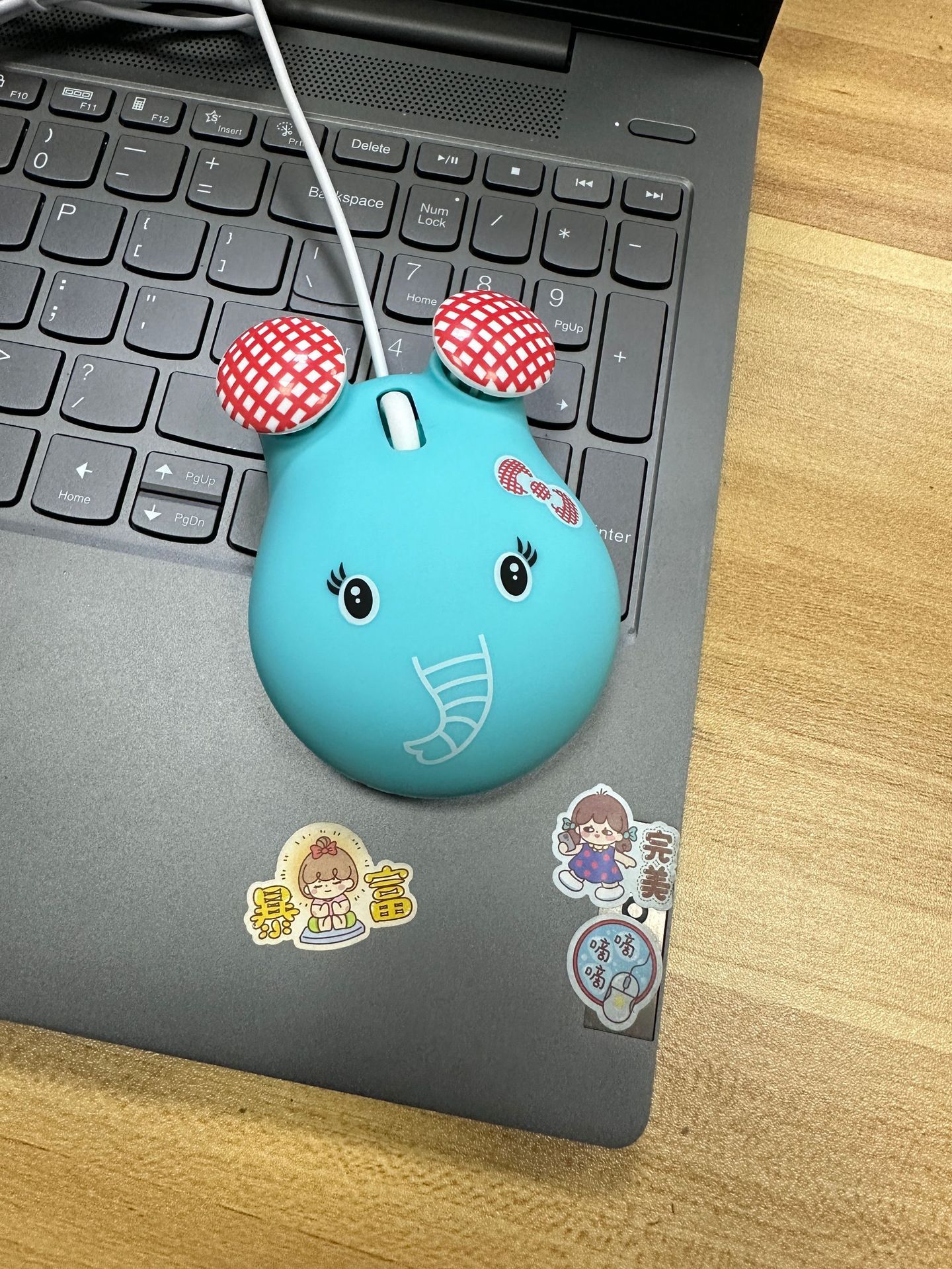 微信图片_20231222104709.jpg?x-oss-process=image/format,png