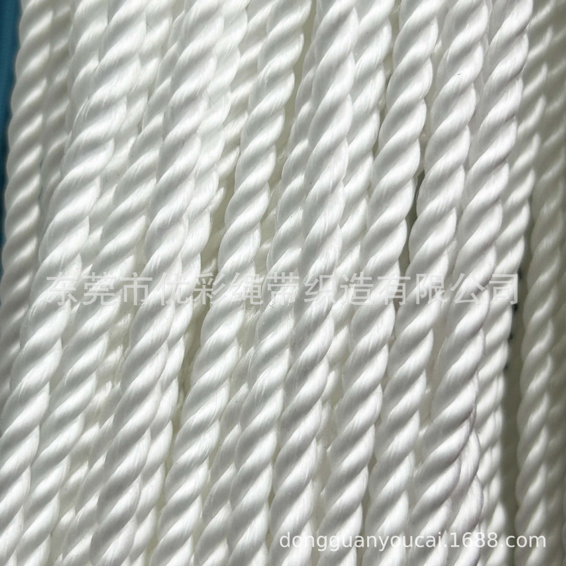 微信图片_20250105114240