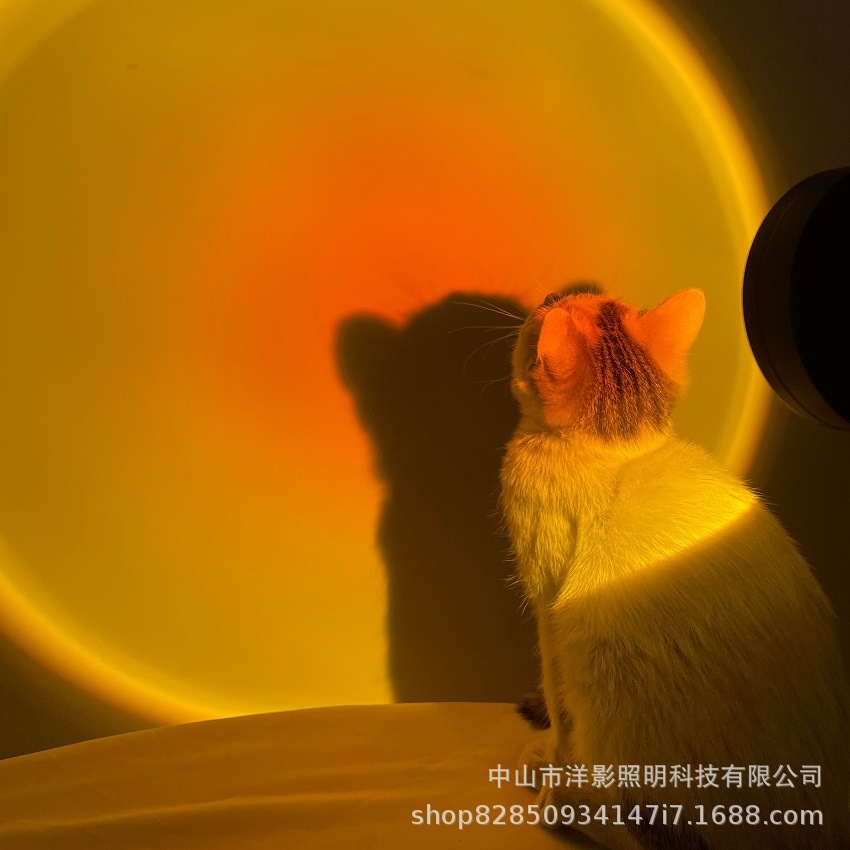 微信图片_20210925152949