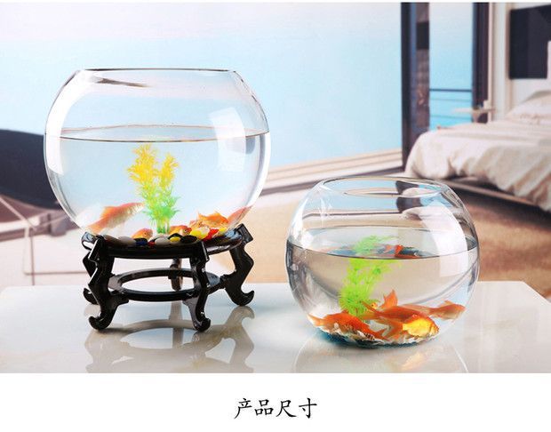 ce1f60e1-a9c7-460f-ab4f-ae1376f54eab.jpe