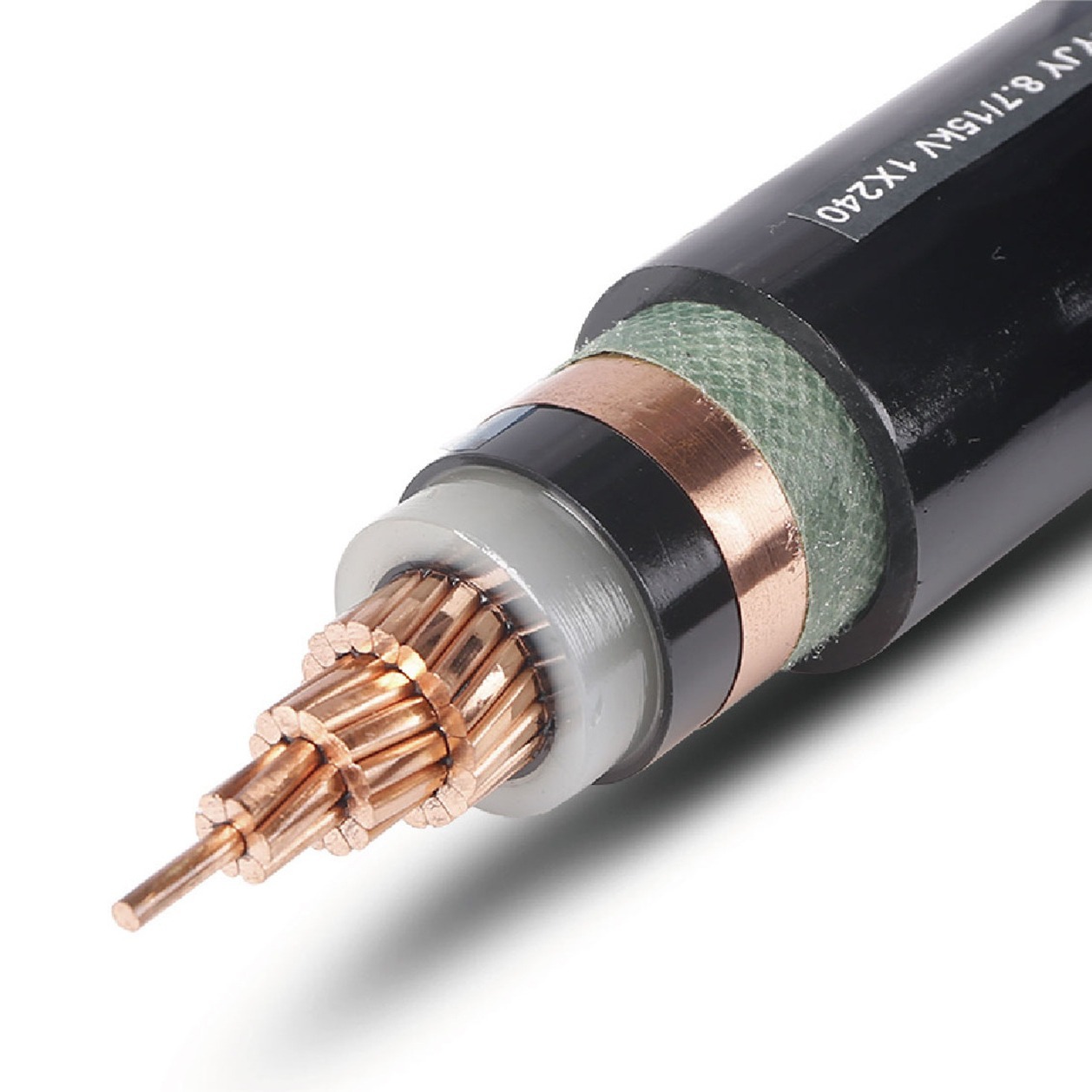 2024-08-29 15:03:30.jpg