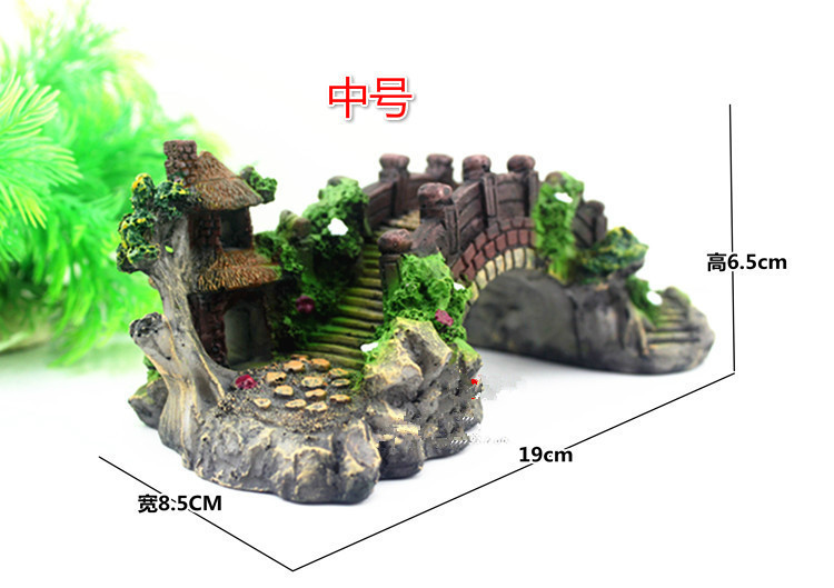 中号