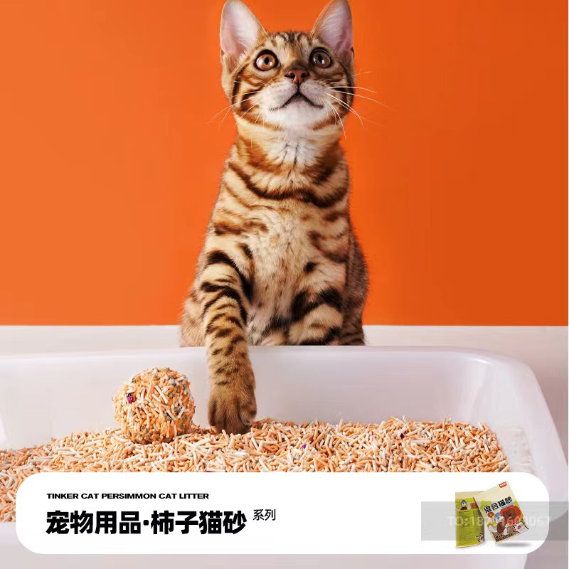 微信图片_202309021022201