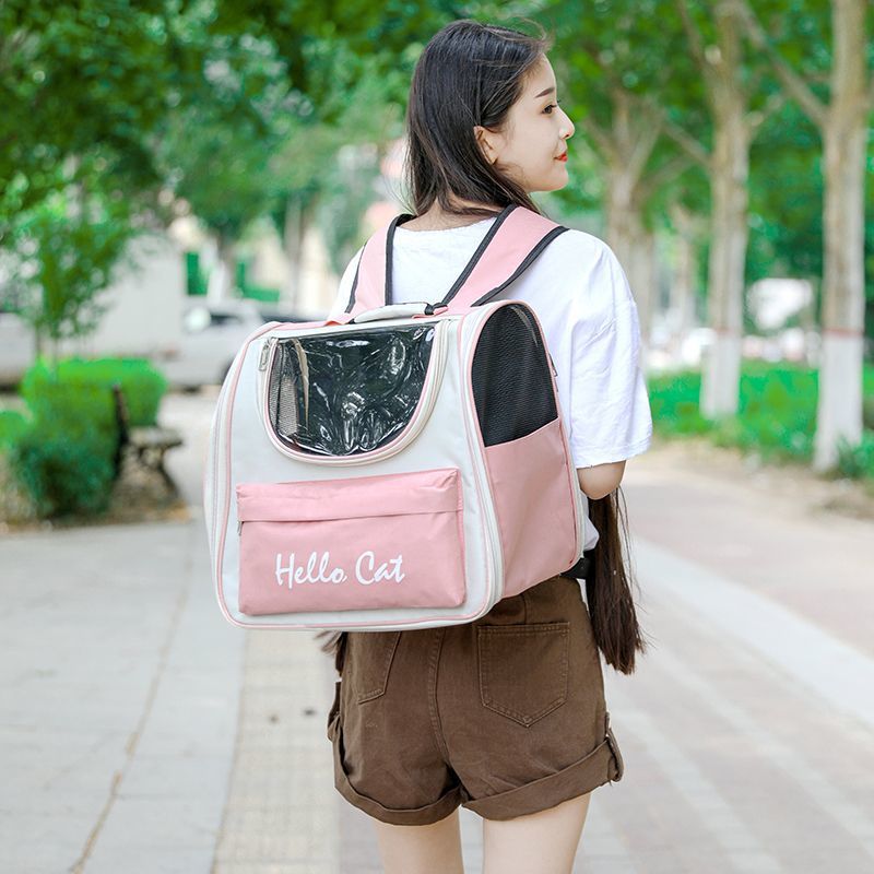 c725737d-710c-48e6-8d0a-a9894da6fb90.jpe