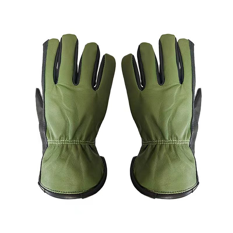 微信图片_20250310102254