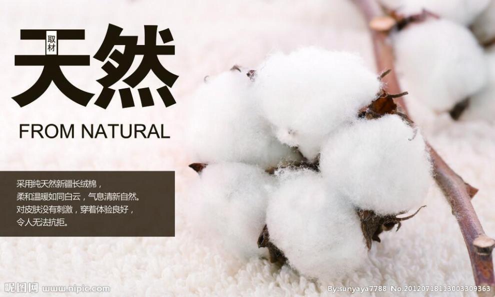 1e2c312c-9a9c-4c57-95d7-68b0e0a90428.jpe