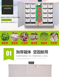 s_5516324202101071610203316