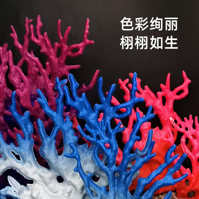 四海珊瑚5