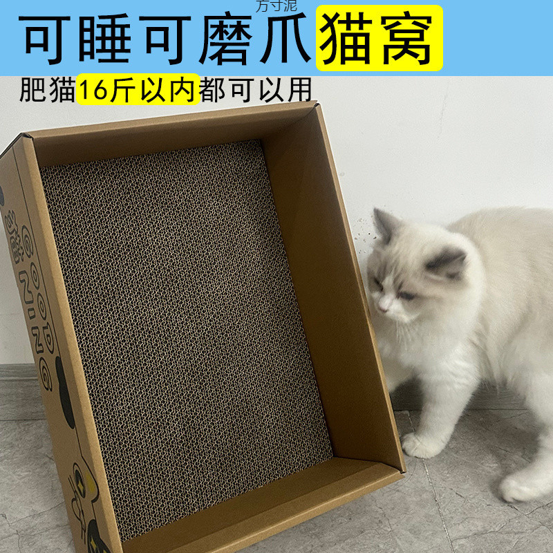 e872840a-63a7-44bd-8860-9222b035ac86.jpe