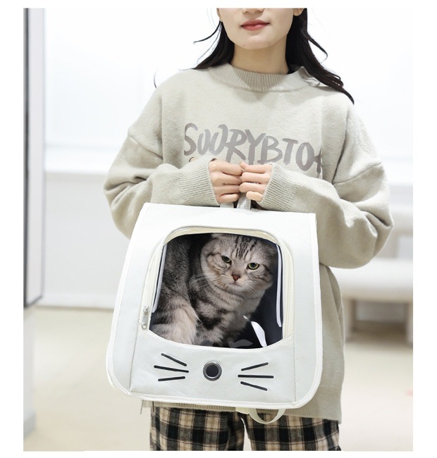 e85d7751-41a8-4c3a-9412-86ba3838f6d3.jpe