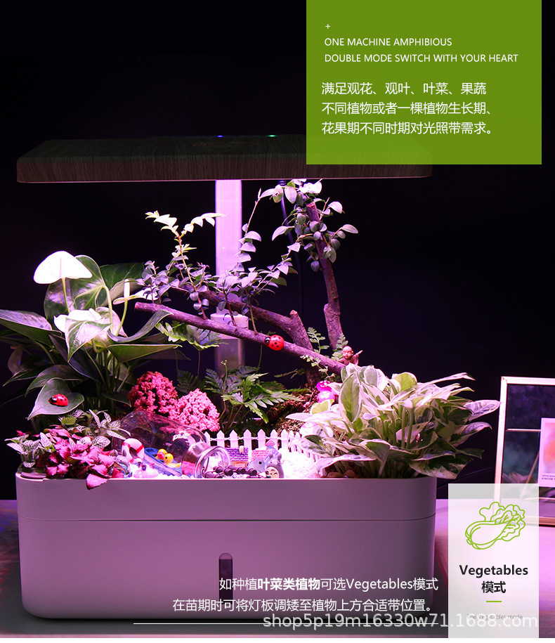 11.jpg?x-oss-process=image/format,png