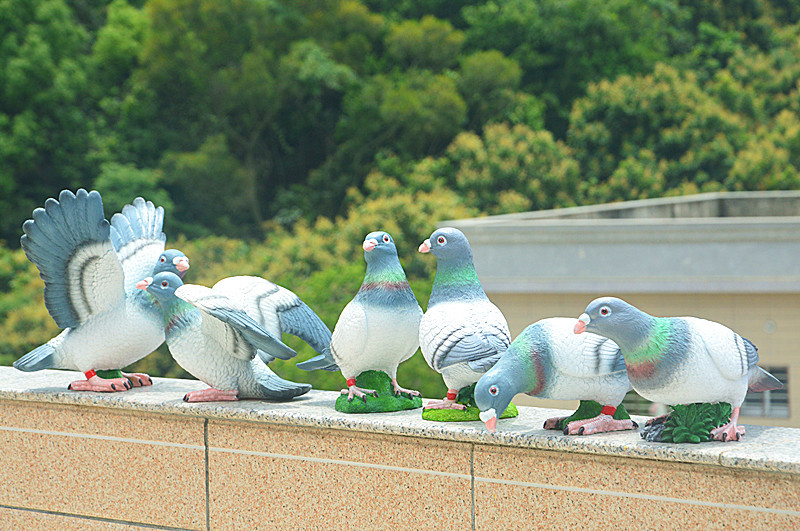 DSC_0026_副本.jpg