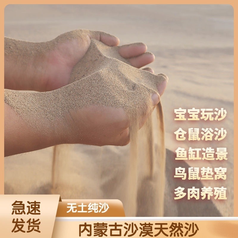 917868fa-d9b5-4a23-970a-030df6f67772.jpe