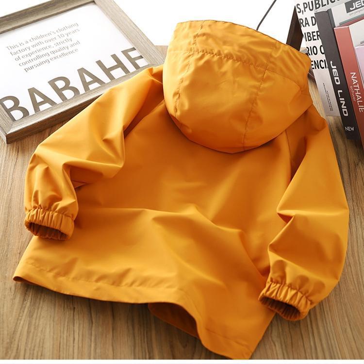 b7619fed-21d3-44bc-806e-e69f980ed827.jpe