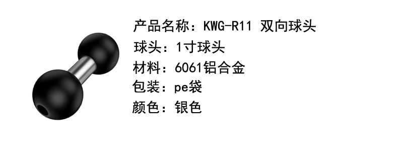 R11详情