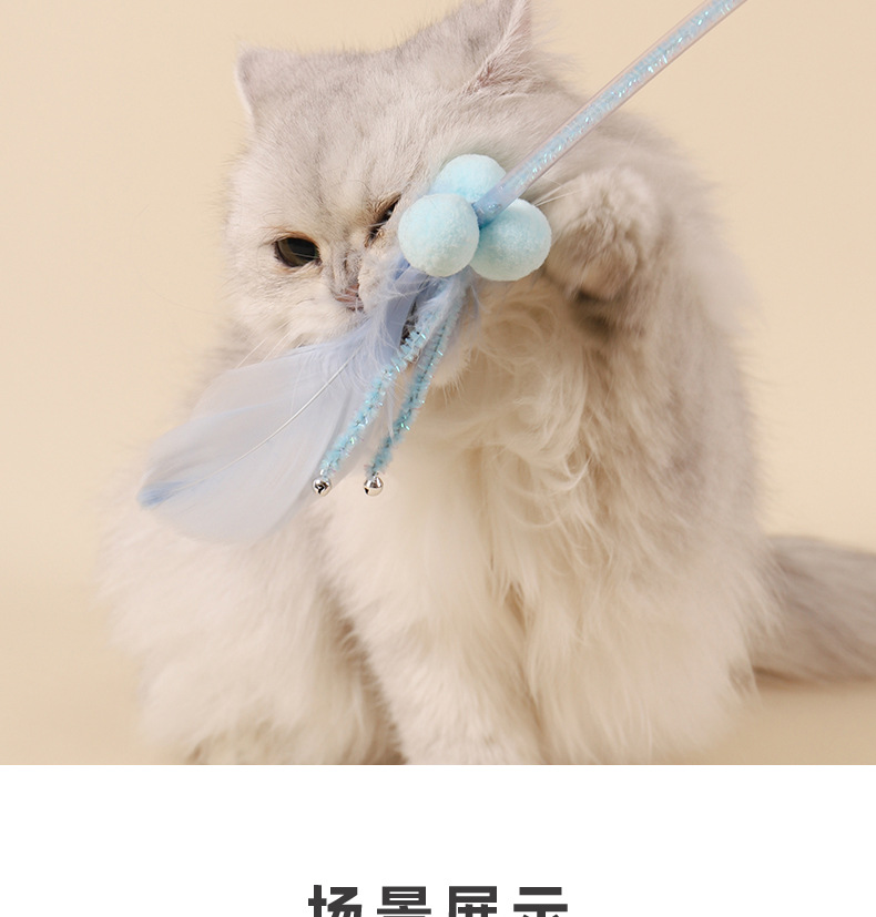 仙女丝带逗猫棒四件套_10.jpg