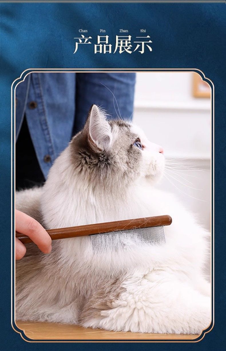 487fd6ce-179a-45b9-838e-10fbfd68601a.jpe